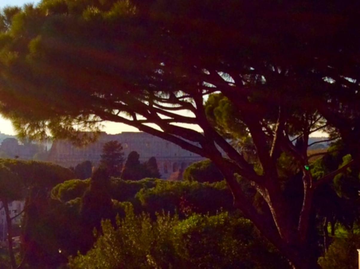 Casa vacanze Colosseum View Exclusive